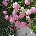 Апартаменты Studio Flat - Sleeps 4 & Private Garden