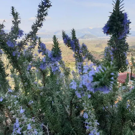 Studio Flat - Sleeps 4 & Private Garden Appartement Nivice (Vlore)