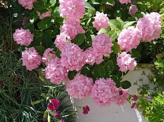 Apartament Studio Flat - Sleeps 4 & Private Garden