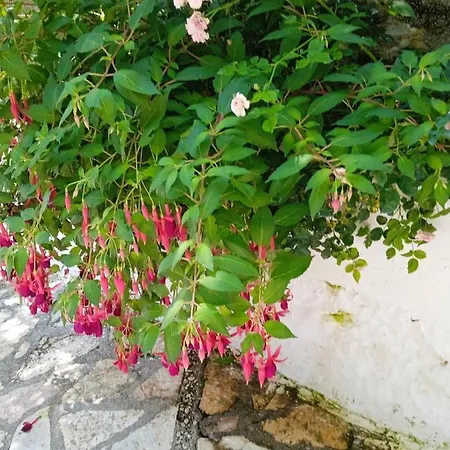 Apartament Studio Flat - Sleeps 4 & Private Garden Nivice (Vlore)