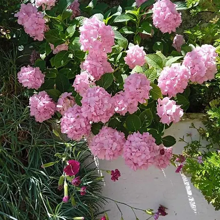 Apartament Studio Flat - Sleeps 4 & Private Garden