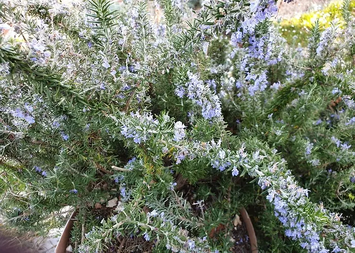 Nice Studio Flat close to Saranda Albania *